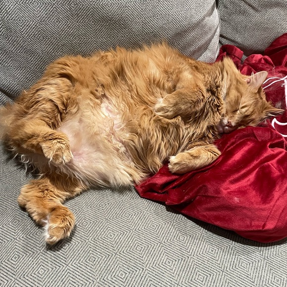 9/24 Jewelry Shown As Is In Live Show - Picture 3 of 3